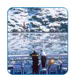 Norwegian Cruise Line Latitudes Club for Past Guests