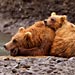 Learn More About Alaska