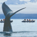 Alaska Photo Albums