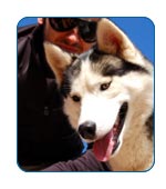 Mushing or Dogsledding in Alaska