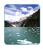 Tracy Arm and Saywer Glacier