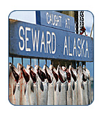 Ressurection Bay, Seward, Alaska