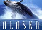 Books About Alaska