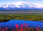 When to Go to Alaska