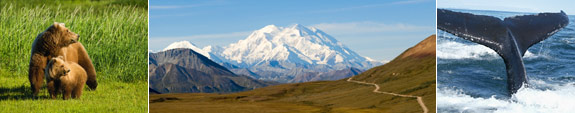 Alaska Frequently Asked Questions