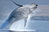 Celebrity Alaska Cruises from Vancouver