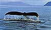 13 Nt Alaska's Inside Passage & Denali