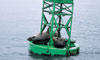 15 Nt Alaska's Inside Passage, Prince William Sound & Denali