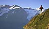 17 Day Ultimate Alaska Cruise & Seattle Hotel Combo