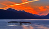7 Night Glacial Passage