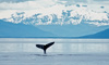 9 Night Gateway to Alaska