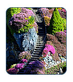 AlaskaCruises.com visits Victoria, British Columbia.