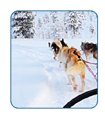 AlaskaCruises.com Alaska FAQs.
