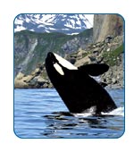 AlaskaCruises.com Alaska FAQs.