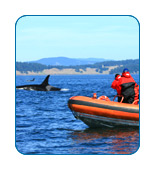AlaskaCruises.com answers your questions about Shore Excursions.