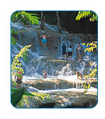 AlaskaCruises.com answers your questions about Shore Excursions.