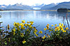 Juneau