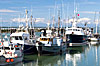 Prince Rupert