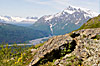 Valdez
