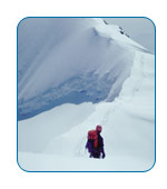 Carnival Cruise Lines Onboard Activities