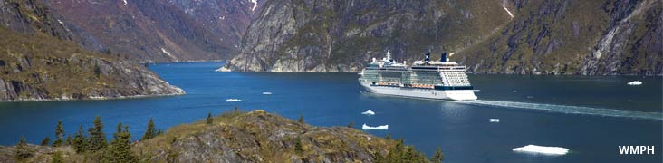 More About Celebrity